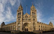 180px-Natural-History-Museum-London-3957