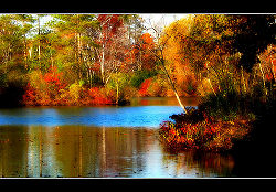 250px-Autumn-Colors-1