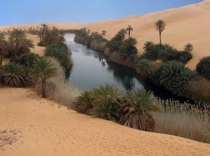 3-Erg-Awbari-Oasis