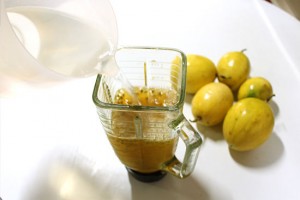 550px-Make-Passion-Fruit-Juice-Step-3