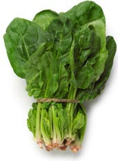 brain_food_spinach