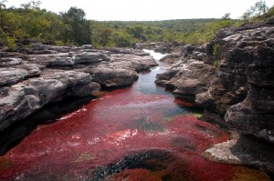 cano_cristales_4