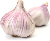 garlic_01