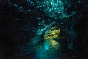 glowworm-caves-waitom-3[6]