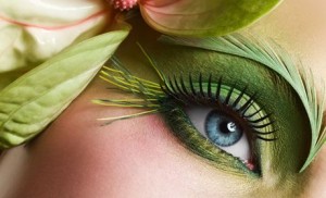 hwaml.com_1331226733_754