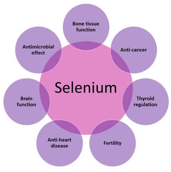 فوائد السيلينيوم