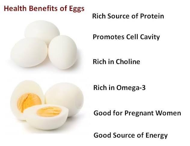 فوائد البيض