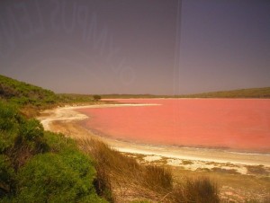 lake-hillier-2[3]