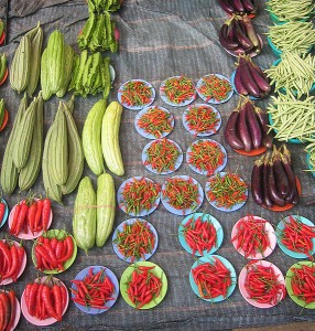 organic-vegetables-at-market-in-argentina