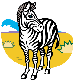 zebra