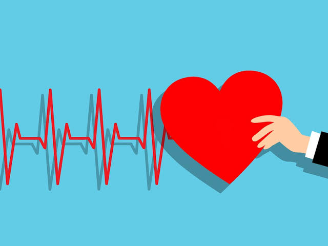 فوائد الحبهان الصحية يعزز صحة القلب 