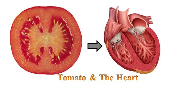 فوائد الطماطم علي القلب