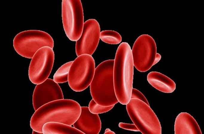 بذور القنب مفيدة في علاج فقر الدم 