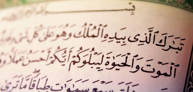 فضل قراءة سورة الملك و ثوابها علي المسلم - مقالات | منصة القارئ العربى 