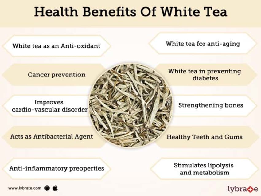 فوائد الشاي الأبيض