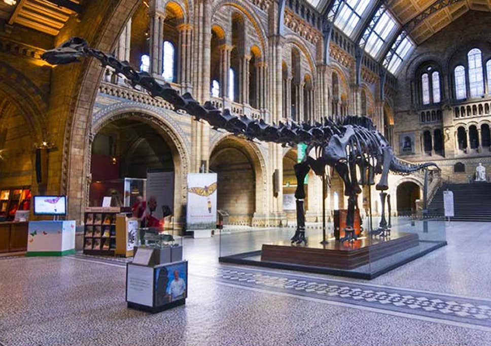 متحف التاريخ الطبيعي من أشهر الأماكن السياحية في لندن إنجلترا