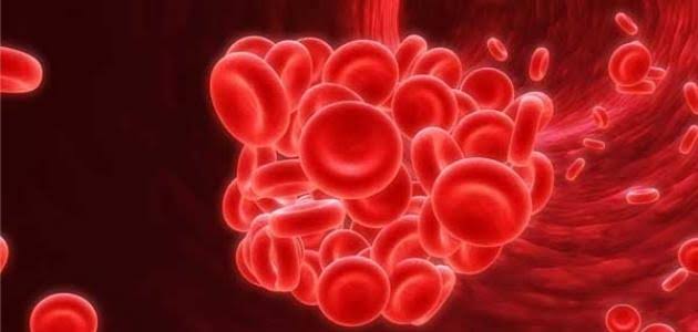 محاربة فقر الدم من أهم فوائد الحديد